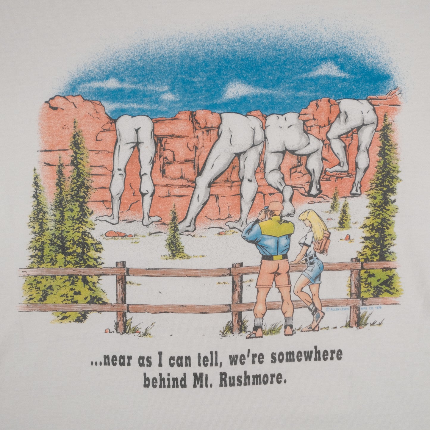 Vintage 70’s Screen Stars Adult Large Mt. Rushmore, South Dakota T-Shirt Funny Single Stitch