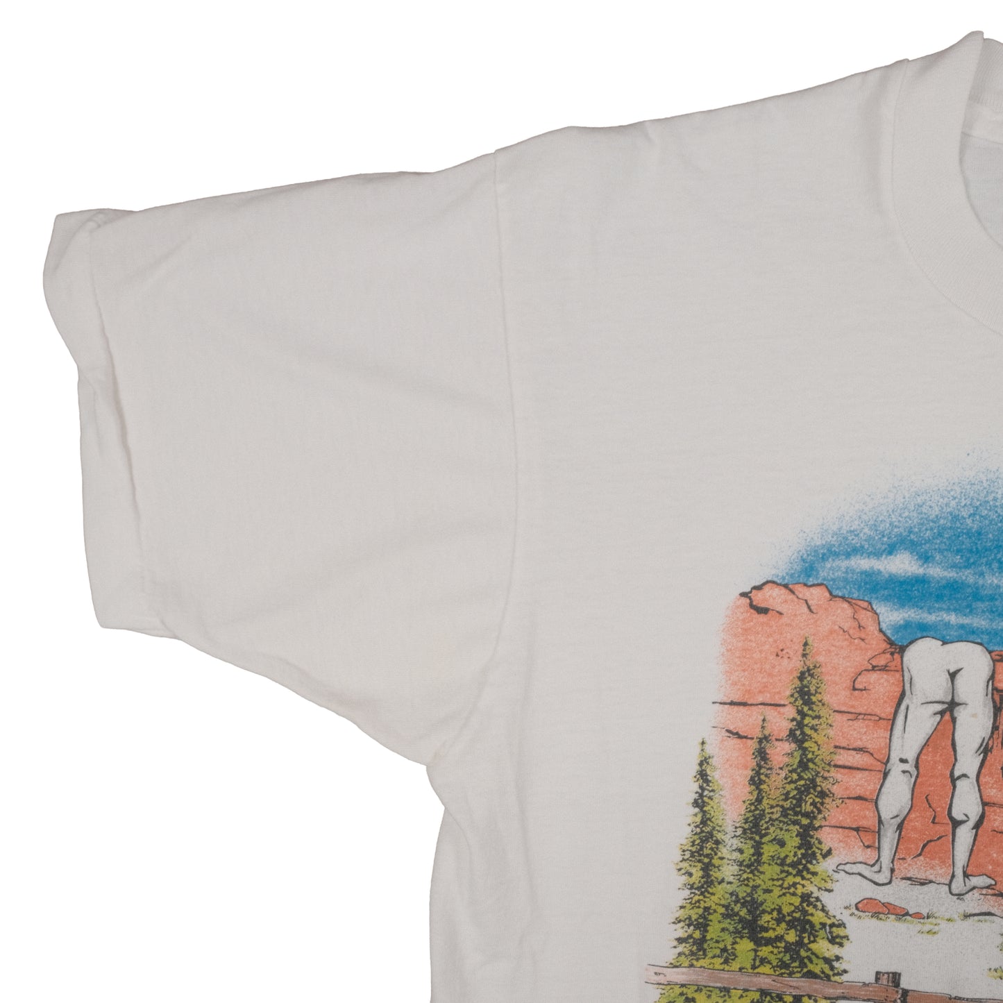 Vintage 70’s Screen Stars Adult Large Mt. Rushmore, South Dakota T-Shirt Funny Single Stitch